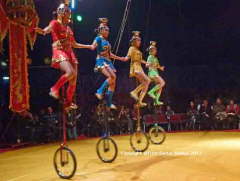 china-zirkus111123-7din